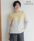 J.PRESS LADIES S 【WEB限定カラーあり・洗える】CAT ボートネック ブロッキング ニット