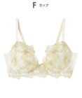 AMPHI ブラジャー 自然なまるみのあるバストシルエット 背中の段差ができにくい整える機能のブラ 【ふわふわブラ】 ブラ BYJ380 アンフィ／ワコール