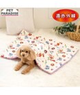 PET PARADISE ディズニー ズートピア もちっと ボア ブランケット