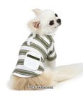 PET PARADISE ペットパラダイス 縞のびのびリブＴシャツ 小型犬