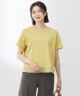 J.PRESS LADIES S 【WEB限定カラーあり・洗える】コットンスムース シアーデザイン カットソー