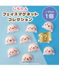 Mother garden しろたん フェイス マグネットコレクション 単品1個