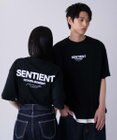 WEGO 【ユニセックス着用ITEM/XSSMLXLサイズ展開】アソートグラフィックBIG　T（SS）