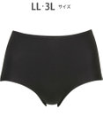 Wing ショーツ やさしい肌あたり ズレ上がりにくい しめつけにくい 【綿の贅沢 フラットショーツ】 はきこみ丈ふかめ 3Lまで対応 大きいサイズ EC3100 ウイング／ワコール
