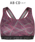 CW-X 【WOMEN】 スポーツブラ 5方向 吸汗速乾（前身頃） HTY128 /ワコール