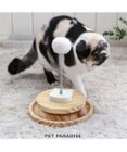 PET PARADISE 猫 木製 コロコロ トイ