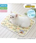 PET PARADISE ミニオン ボブ クール マット 《ビーチ柄》 小型犬 48×40㎝