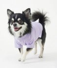 OP／FILA 【Ocean Pacific】ポロシャツ風ドッグウェア ペットウェア