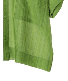 Green Parks シアーストライプショート丈シャツ
