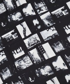 WEGO アムンゼンパターンBIGシャツ（SS）