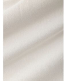 Green Parks Ｄｉｓｎｅｙ１００　ミッキーマウス／Ｔシャツ