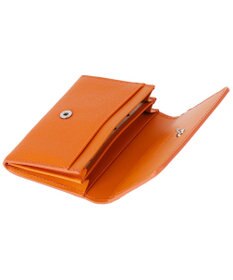 tsumori chisato CARRY ラックスtcネーム 名刺入れ