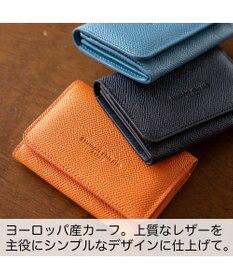 tsumori chisato CARRY ラックスtcネーム 名刺入れ