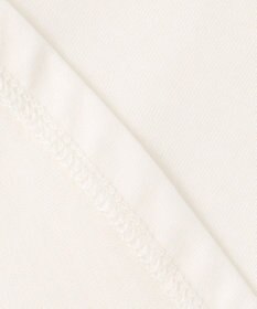 J.PRESS LADIES L シアーボーダーツイン カットソー