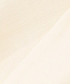 BEIGE， LIATRIS / シアー テーラードジャケット