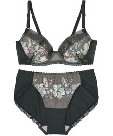 Wing WEB限定　ブラ＆ショーツセット　3/4カップブラ　ウイング／ワコール　CB3710