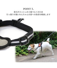 PET PARADISE ヘッドインハーネス 【Ｓ】 オレンジ / ブルー【  小型犬】