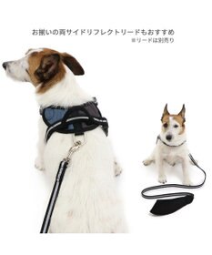 PET PARADISE ヘッドインハーネス 【Ｓ】 オレンジ / ブルー【  小型犬】