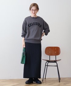 AMERICAN HOLIC バイパチＣＥＲＥＳＴＥＳロゴニットプルオーバー