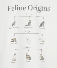 AMERICAN HOLIC アソートアニマルロングＴシャツ