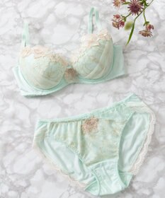 Wing Wing Lesiage　【2720シリーズ】ブラジャー　シアー感のあるラグジュアリーなデザイン　ウイング／ワコール　PB2720