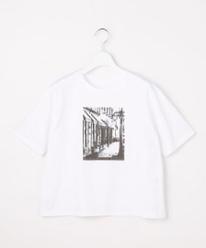 J.PRESS LADIES プリント Ｔシャツ