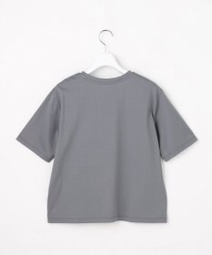 J.PRESS LADIES プリント Ｔシャツ