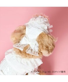 PET PARADISE cherircouture ヘッドドレス ４Ｓ～３Ｓ / ＳＳ～Ｓ