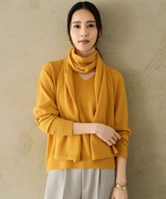 自由区 S 【SHIHOさん着用】ウールハイゲージVネック ニット