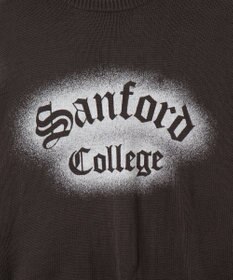 WEGO グラフィックニットBIGプルオーバー