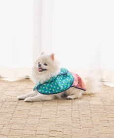 COQ PLAID ARGYLE ドッグポンチョ レインコート