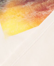 SHARE PARK MENS 【UVカット・吸水速乾・ストレッチ・軽量 】コラボフォトプリントTシャツ（L・XLサイズ）