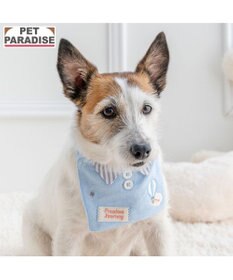 PET PARADISE ペットパラダイス やさしい スタイ 《気球柄》 小型犬