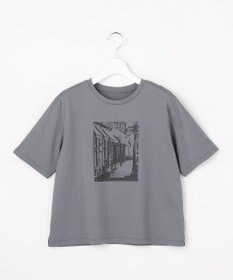 J.PRESS LADIES プリント Ｔシャツ