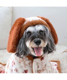 PET PARADISE ディズニー わんわん物語 レディ 着る毛布 小型犬