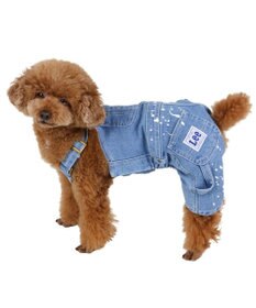 PET PARADISE Ｌｅｅ ペイント デニム オーバーオール 小型犬