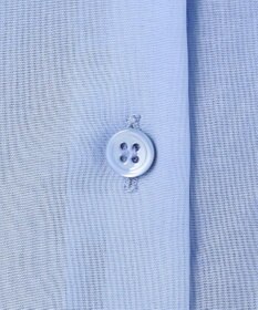 BEIGE， 【洗える】PLUMERIA / コットンシアーバックボウタイブラウス