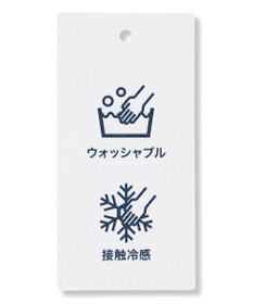 J.PRESS LADIES TCシャンブレーサテンST ストレート パンツ