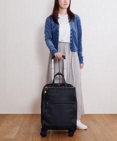 ACE BAGS & LUGGAGE HAyU × ace. ユッカTR カジュアルキャリーケース 33L 17841 エース