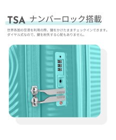 Samsonite アメリカンツーリスター スーツケース 33(/42)L  キュリオ スピナー55 CURIO
