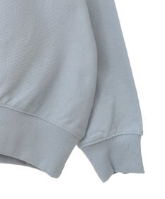 AMERICAN HOLIC ＳＴ．ＰＡＵＬロゴスウェット