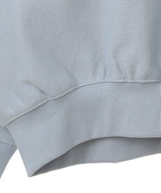 AMERICAN HOLIC ＳＴ．ＰＡＵＬロゴスウェット