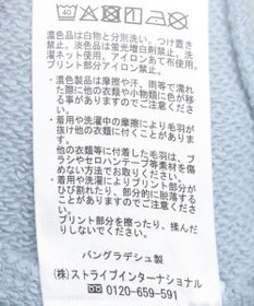 AMERICAN HOLIC ＳＴ．ＰＡＵＬロゴスウェット