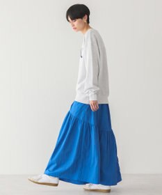 AMERICAN HOLIC ＳＴ．ＰＡＵＬロゴスウェット