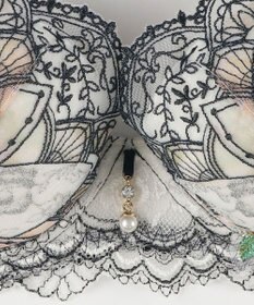 Wing ブラジャー Wing Lesiage ふっくら、まる胸メイク 背中すっきり 【2910シリーズ】 ブラ PB2910 ウイング／ワコール