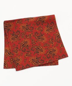 J.PRESS MEN オーバーダイ シルクチーフ