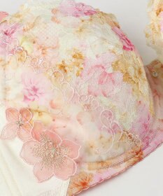 Wing ブラジャー 小さく見せるブラ Wing Lesiage 脇すっきり 背中すっきり 【2900シリーズ】 ブラ PB2901 ウイング／ワコール