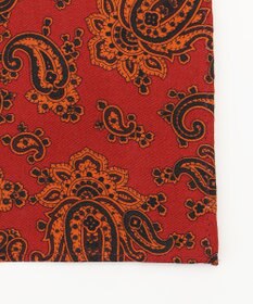 J.PRESS MEN オーバーダイ シルクチーフ