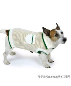 PET PARADISE ペットパラダイス スキッパーニット 小型犬