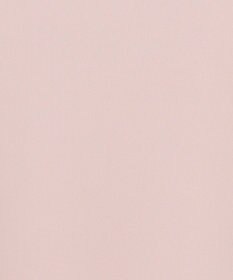 ICB L 【先行予約・WEB限定】BackSatinAmunzen 5分袖キーネックブラウス